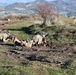 Team live fire dynamic exercise at Monte Carpegna