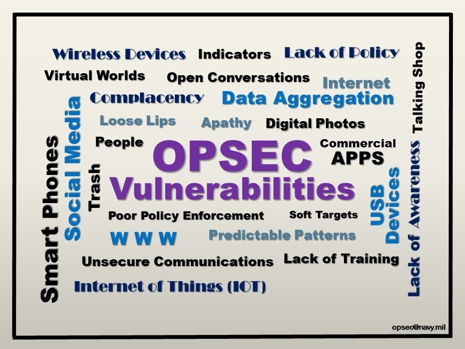 Vulnerabilities - NAVIFOR OPSEC Info graph