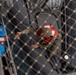 15th MEU All-Domain Reconnaissance Marines depart USS Somerset for VBSS training