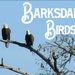 Federal funding for eagles protects Barksdale resources