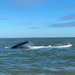 Coast Guard rescues 2 men from capsized vessel outside of North Charleston Jetties