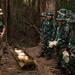 Indonesia Platoon Exchange: Jungle Casualty Evacuation