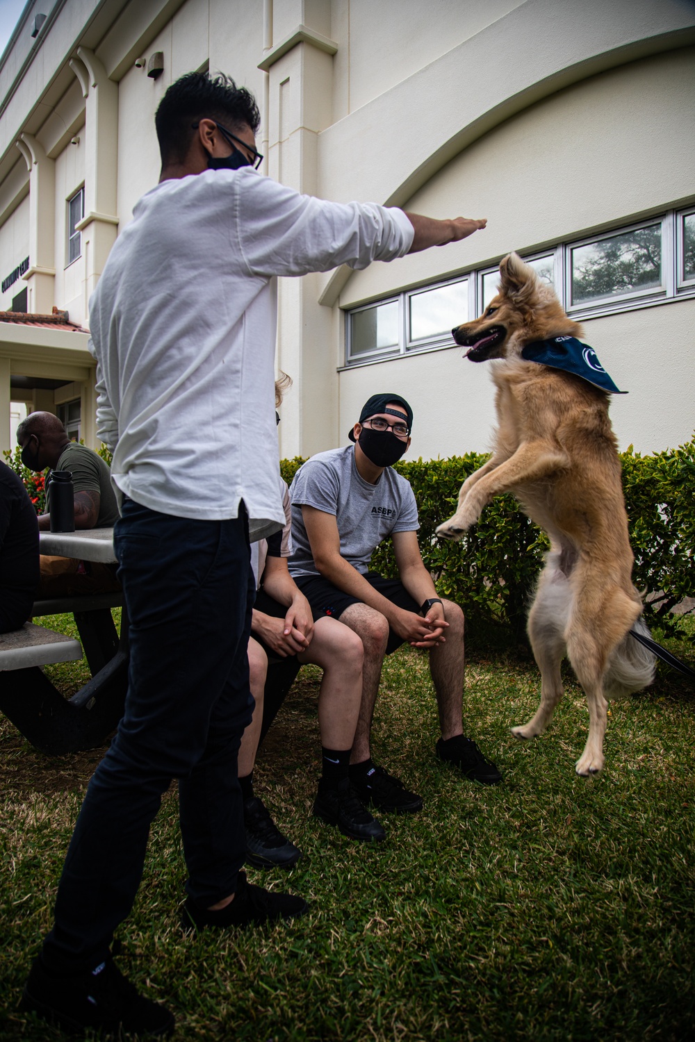 SMP hosts a day of puppy petting and pancake eating