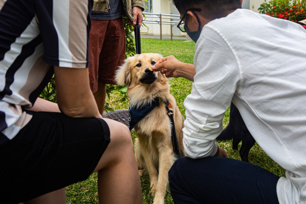SMP hosts a day of puppy petting and pancake eating