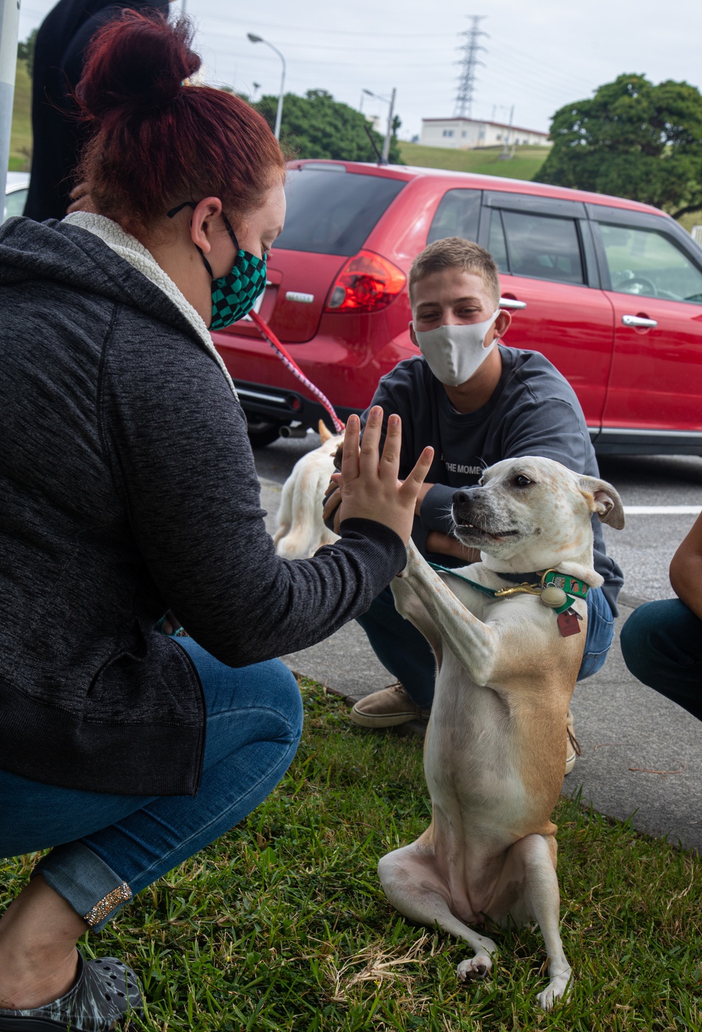 SMP hosts a day of puppy petting and pancake eating