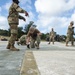 Seabees, Airmen Conduct Rapid Airfield Damage Repair Training Exercise in Okinawa