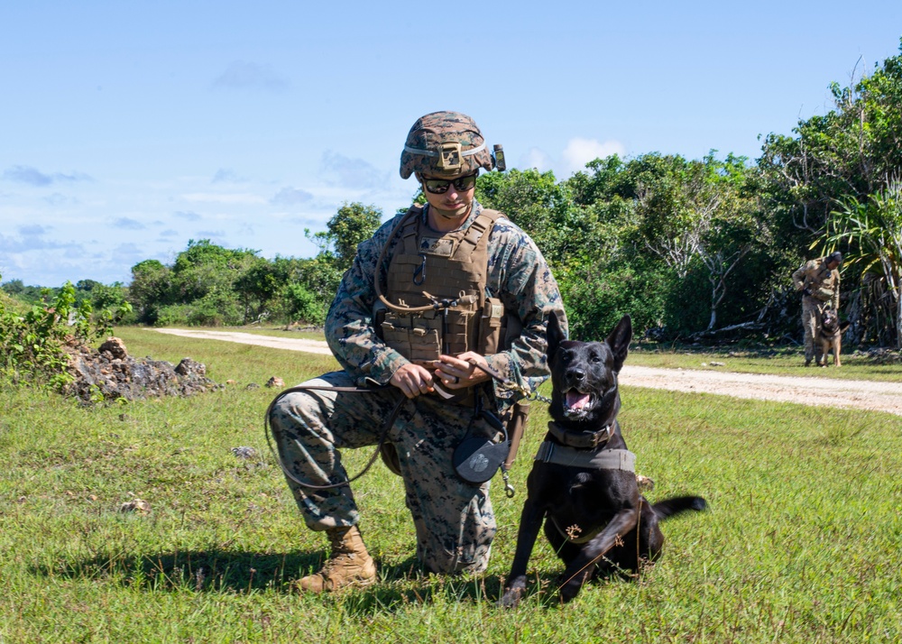 Joint Military Working Dog Exchange