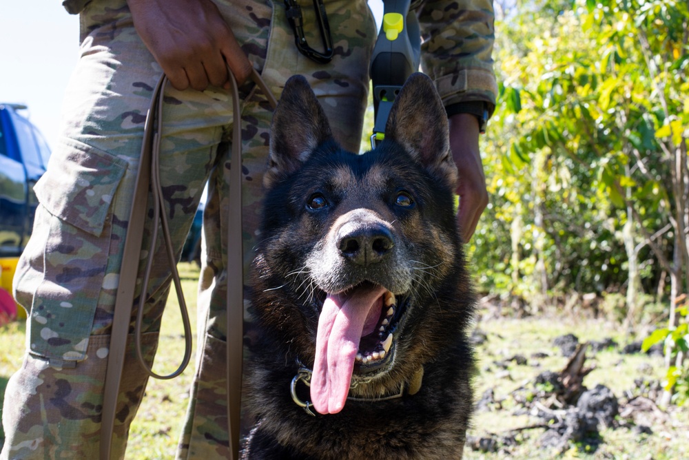 Joint Military Working Dog Exchange