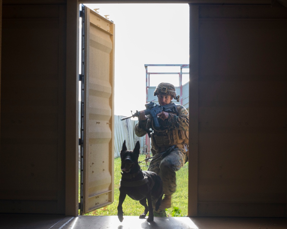 Joint Military Working Dog Exchange