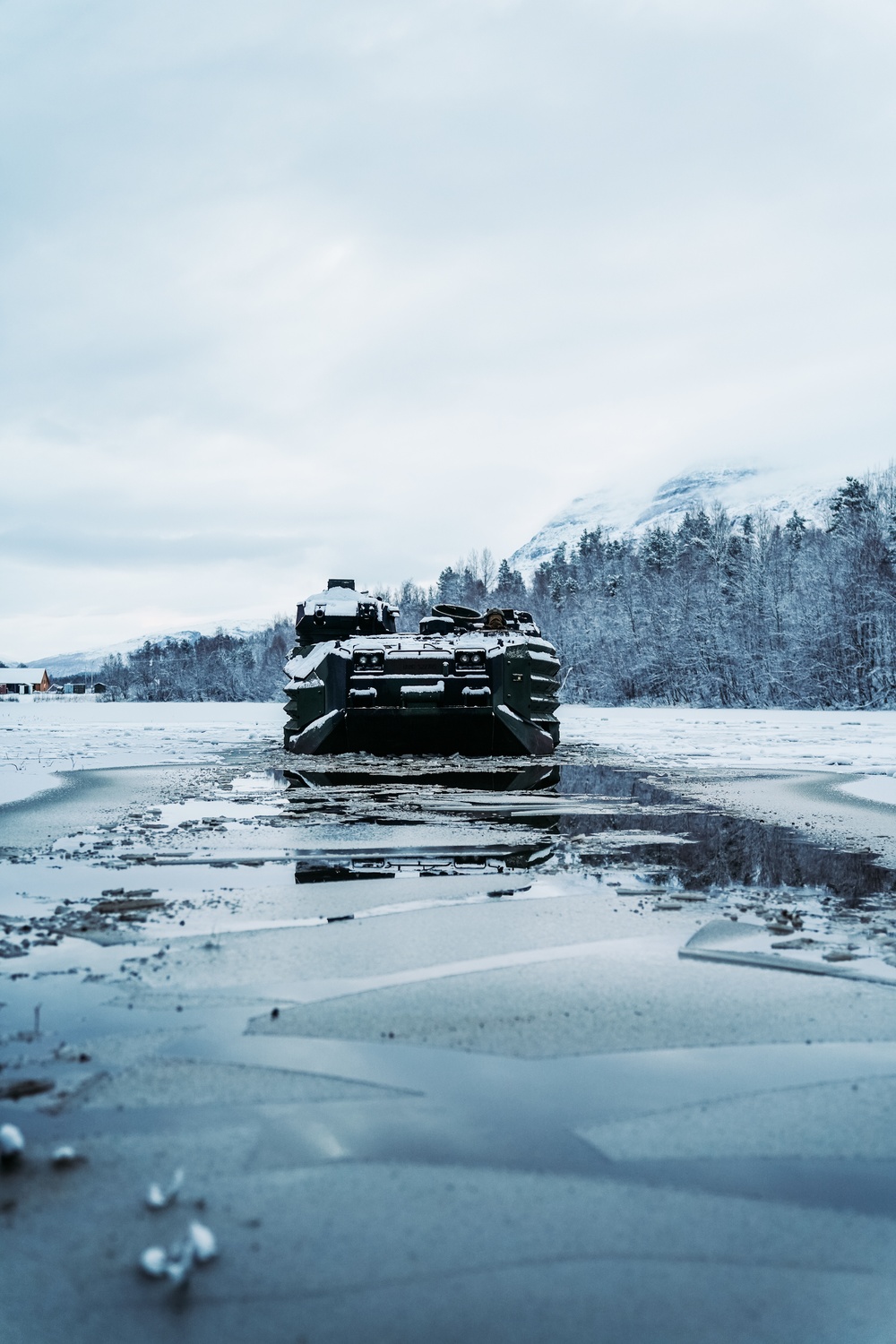AAVs in the Arctic