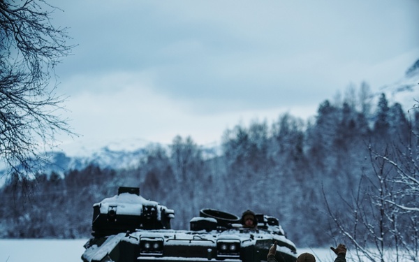 AAVs in the Arctic