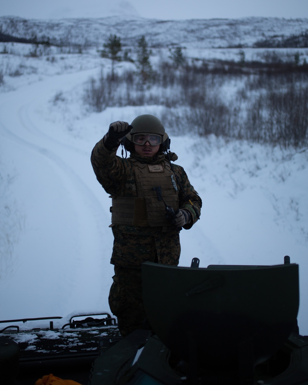 Cold Weather AAV Life-Fire Range