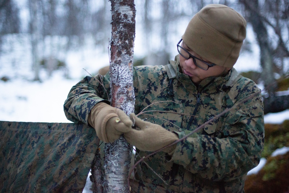 Cold Weather Training