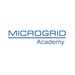 Microgrid Experts Host First Electric Utility Training Academy for Armed Forces