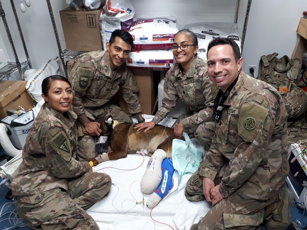 The 149th Veterinary Detachment (Forward 2) with Military Working Dog Kuno