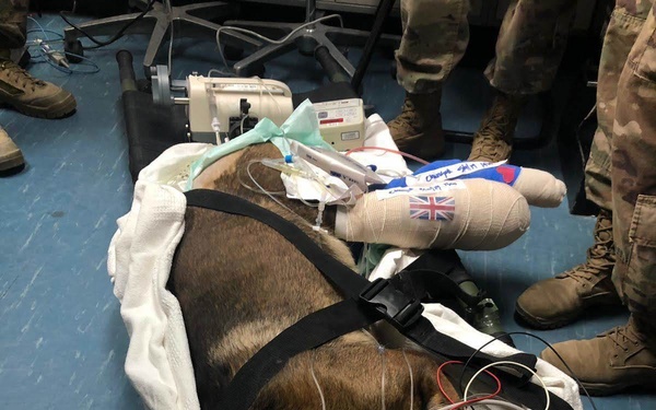 Kuno receives medical care