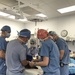 Kuno in surgery