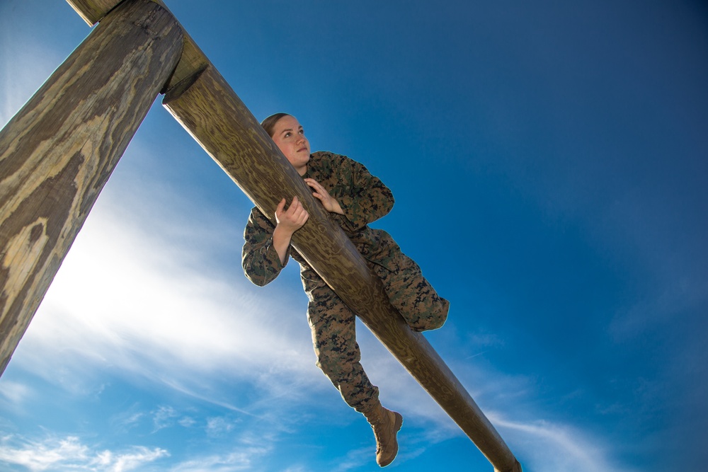 Conquer Your Obstacles