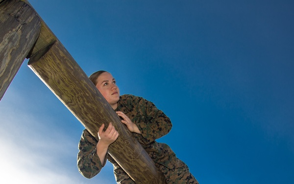 Conquer Your Obstacles