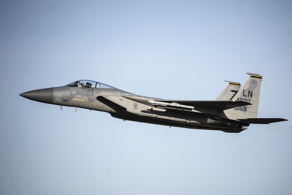 Liberty Wing eagles in action