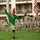 Indonesia Platoon Exchange: Closing Ceremony