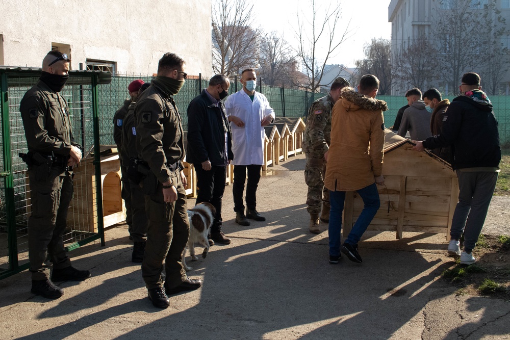 Kosovo Force 28 Soldiers assist veterinarian clinic
