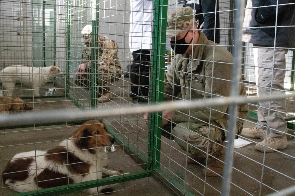 Kosovo Force 28 Soldiers assist veterinarian clinic