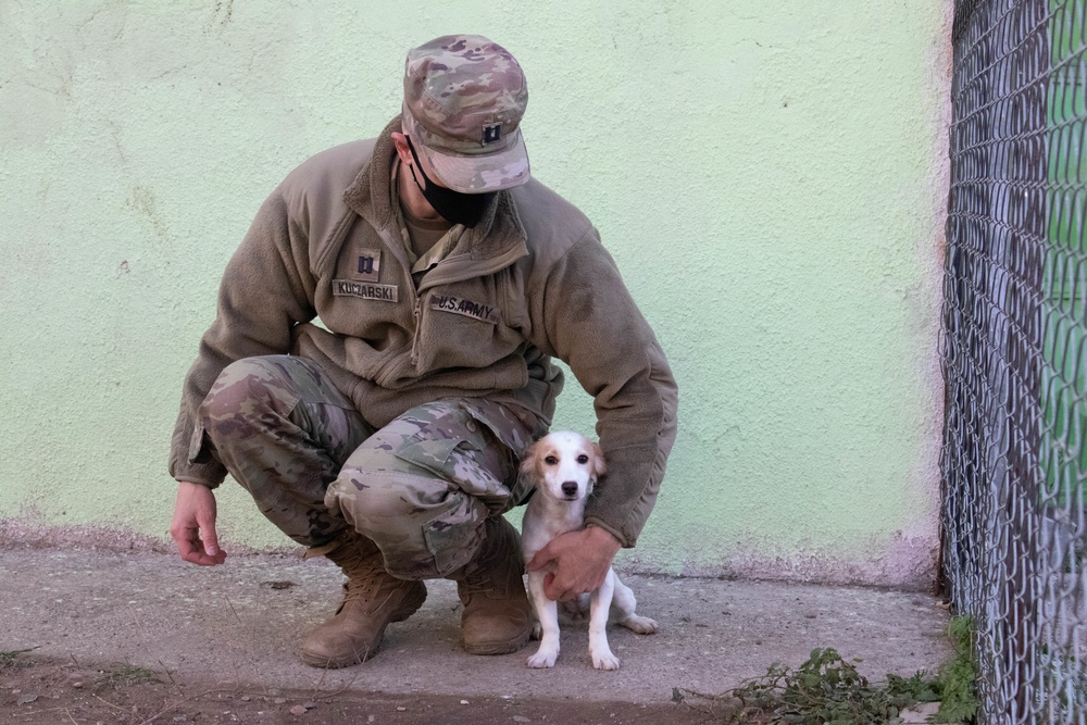 Kosovo Force 28 Soldiers assist veterinarian clinic