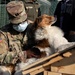 KFOR Soldiers assist vet clinic