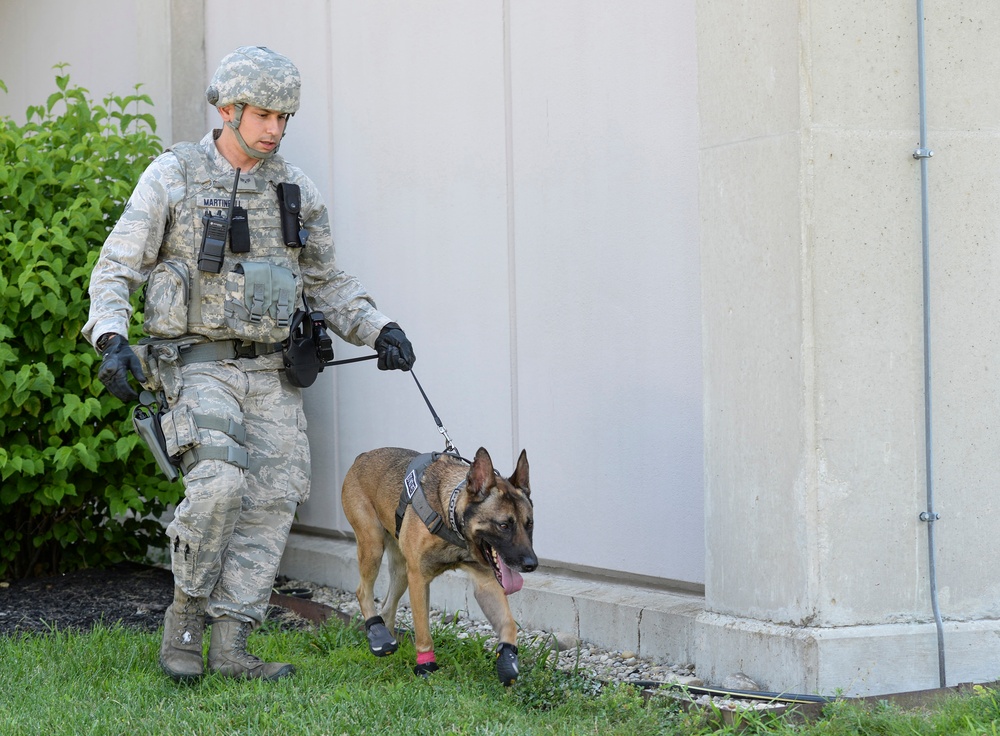 Military Working Dog Rudo Retires