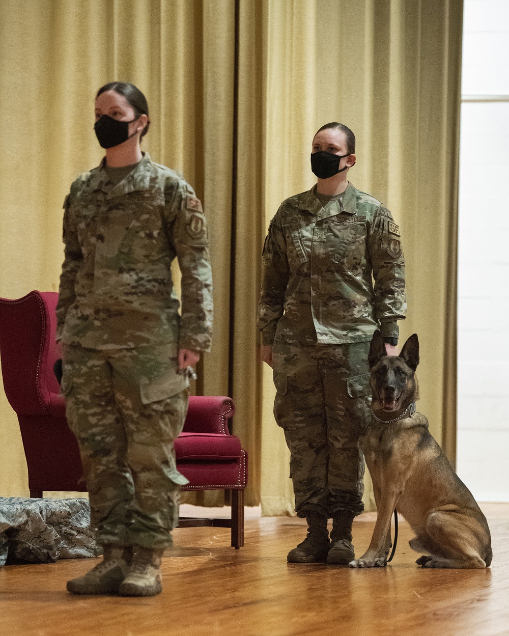 Military Working Dog Rudo Retires