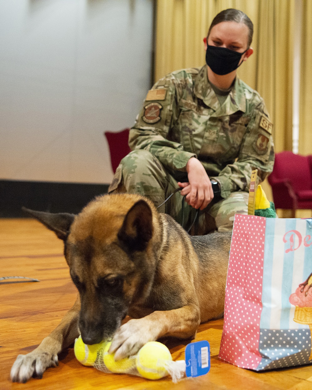 Military Working Dog Rudo Retires