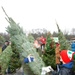 National Guard volunteers join veterans, volunteers for 2020 Trees for Troops loadout