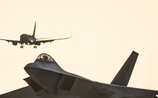 Raptor Flies over Ft. Lauderdale