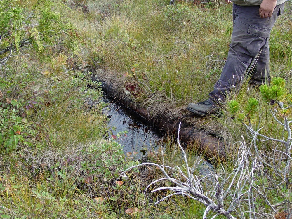 Individual steps onto the remains of a pipeline on Annette Island