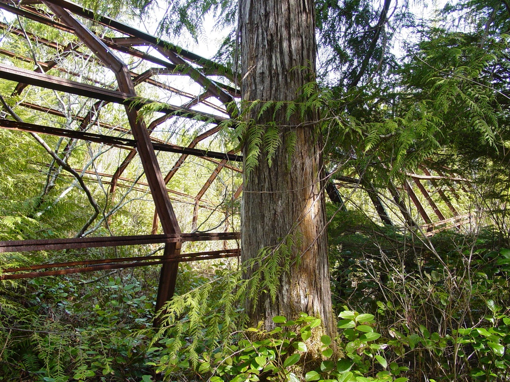 An abandoned Quonset hut on Annette Island