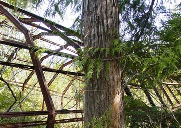 An abandoned Quonset hut on Annette Island