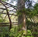 An abandoned Quonset hut on Annette Island