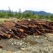 A pile of removed pipeline sits on Annette Island