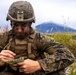 U.S. Marines seize a gun position during exercise Fuji Viper 21.1