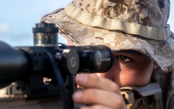 Betting On The Long Shot