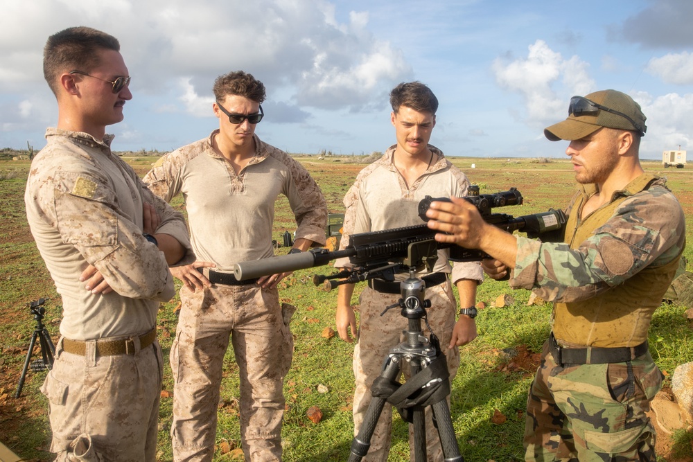 Betting On The Long Shot