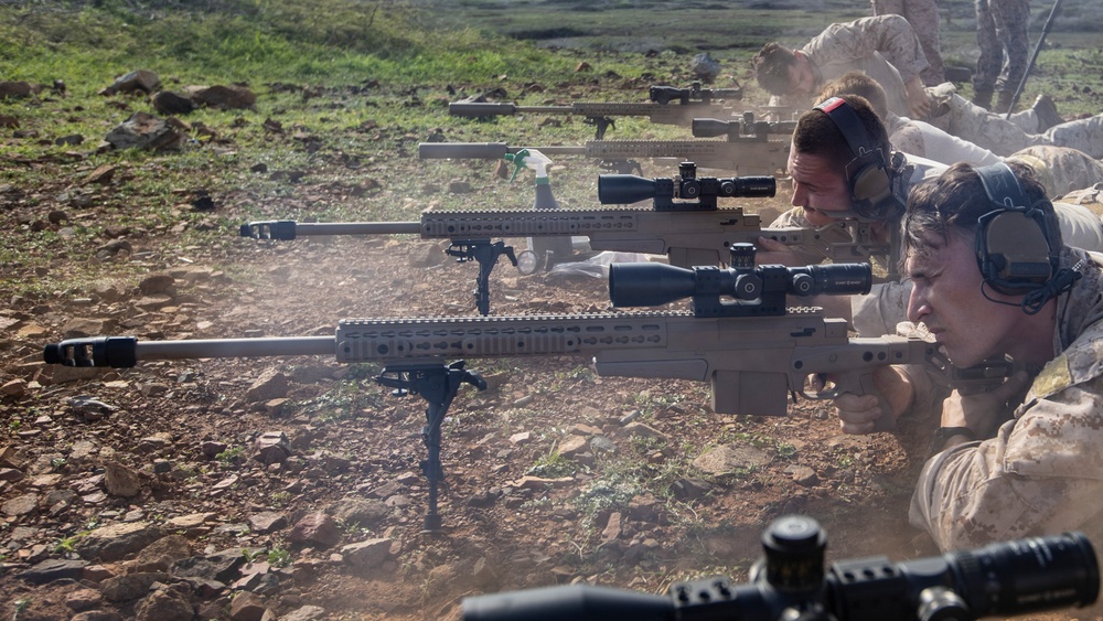 Betting On The Long Shot