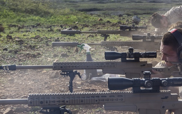 Betting On The Long Shot