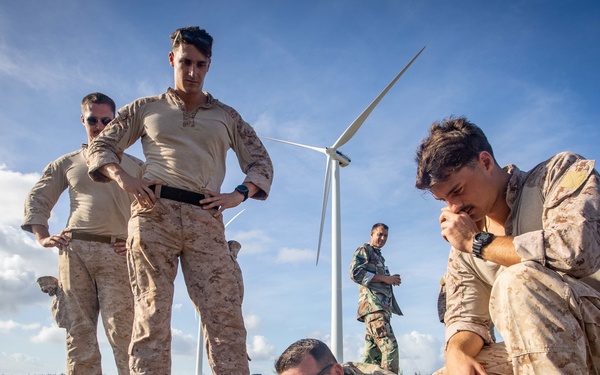 Betting On The Long Shot