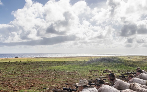 Betting On The Long Shot