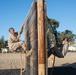 Bravo Company Confidence Course