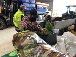 Replanting