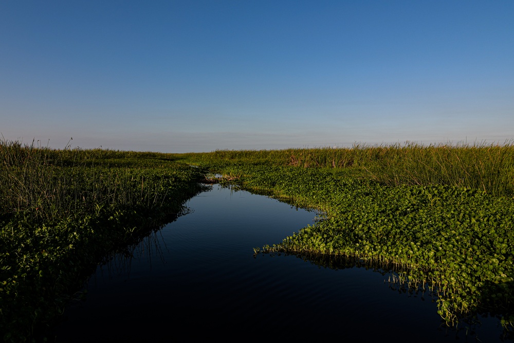 Lake Okeechobee the Liquid Heart of the Everglades