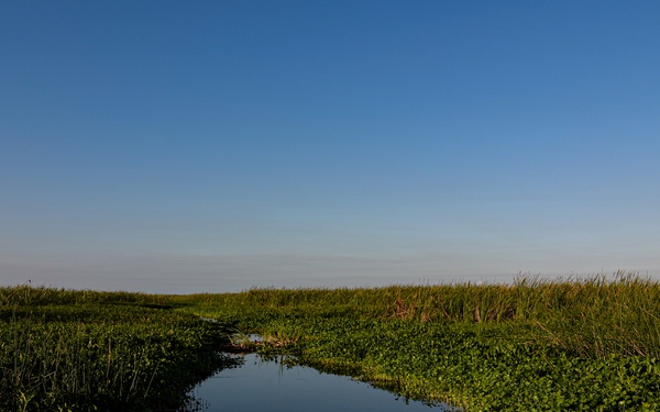 Lake Okeechobee the Liquid Heart of the Everglades